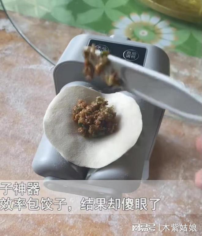 男子买包饺子神器本想快速包饺子不料用时翻车网友评：智商税(图2)